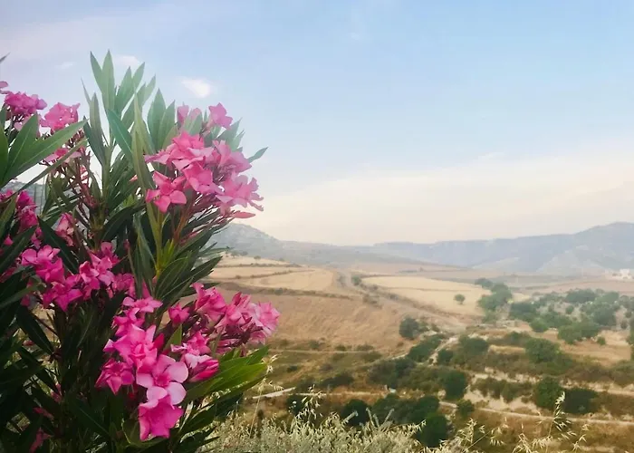 Panoramic Holidays * Πέγεια